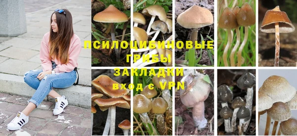 твердый Богородицк