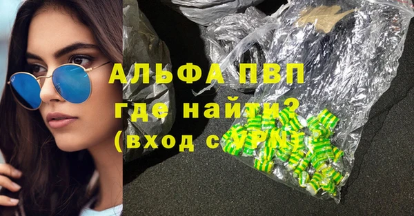 спиды Бородино